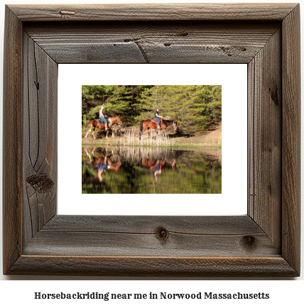 horseback riding near me in Norwood, Massachusetts